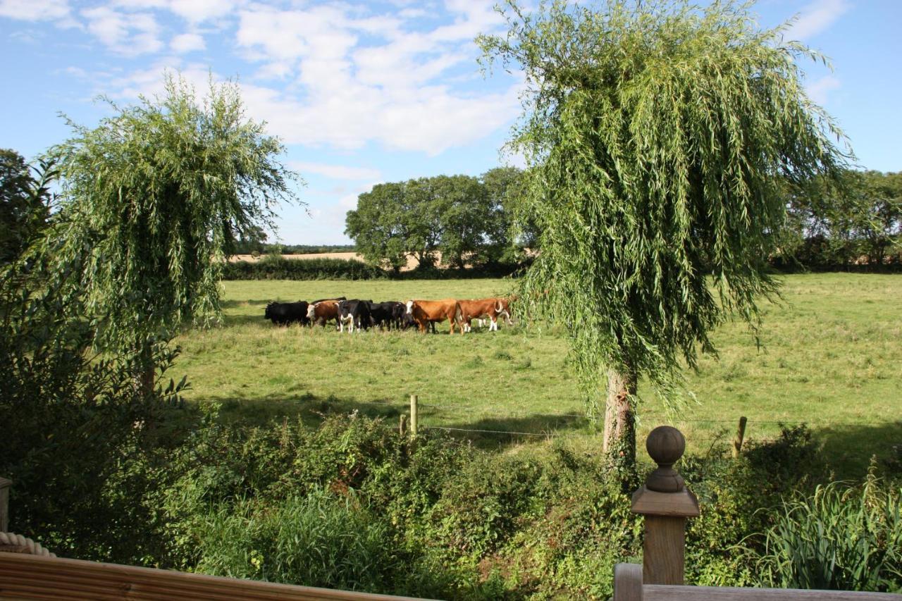 Bridge Cottage Bed And Breakfast Peterborough Bagian luar foto